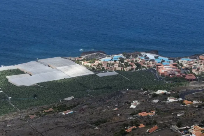 Framed Print : Banana plantations, El Remo, La Palma Island, Canary Islands, Spain, Atlantic, Europe Framed Print : Banana plantations, El Remo, La Palma Island, Canary Islands, Spain, Atlantic, Europe