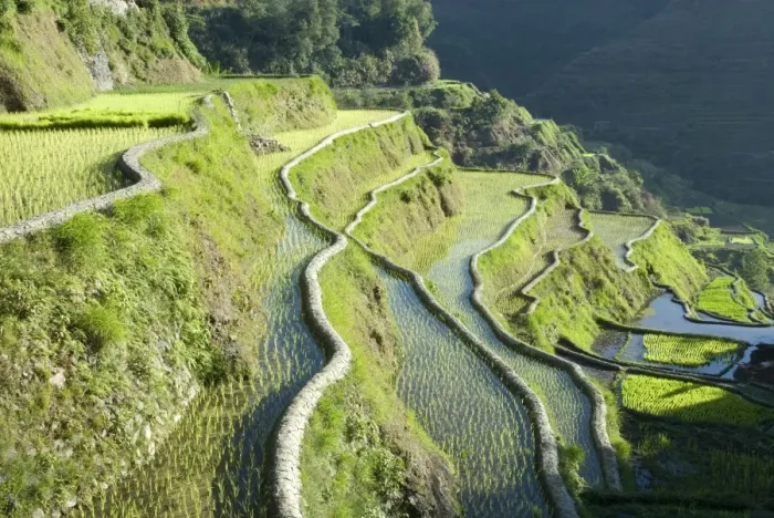 Framed Print : Banaue mud-walled rice terraces of Ifugao culture, UNESCO World Heritage Site Framed Print : Banaue mud-walled rice terraces of Ifugao culture, UNESCO World Heritage Site