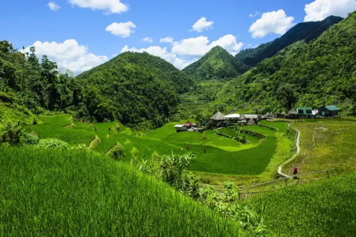 Framed Print : Bangaan in the rice terraces of Banaue, UNESCO World Heritage Site, Northern Luzon, Philippines, Southeast Asia, Asia Framed Print : Bangaan in the rice terraces of Banaue, UNESCO World Heritage Site, Northern Luzon, Philippines, Southeast Asia, Asia