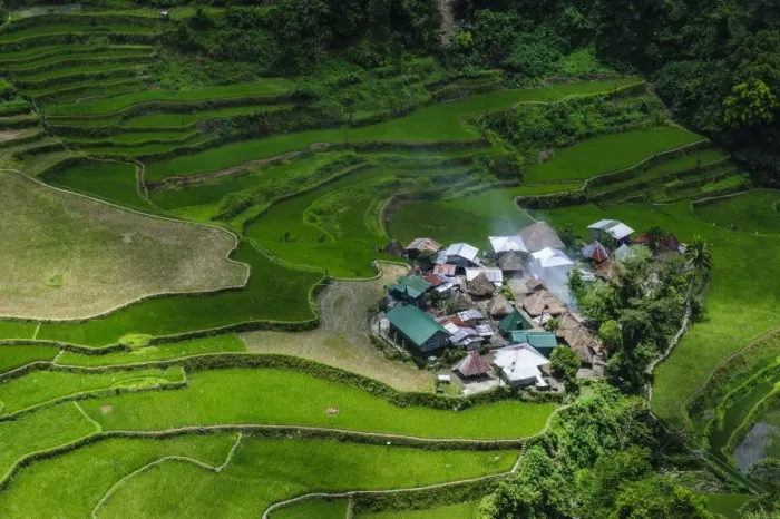 Framed Print : Bangaan in the rice terraces of Banaue, UNESCO World Heritage Site, Northern Luzon, Philippines, Southeast Asia, Asia Framed Print : Bangaan in the rice terraces of Banaue, UNESCO World Heritage Site, Northern Luzon, Philippines, Southeast Asia, Asia