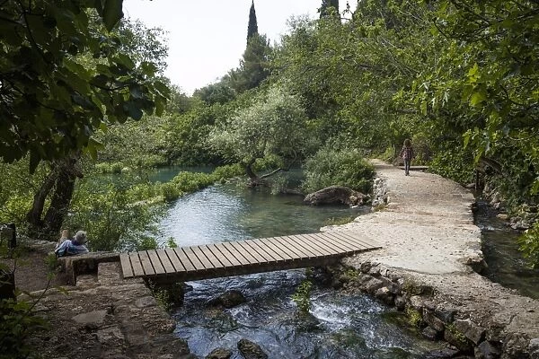 Banias nature reserve, Golan Heights, Israel, Middle East