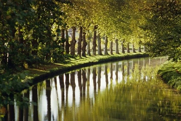 The bank of the Hure, Canal Lateral a la Garonne, Gironde, Aquitaine, France, Europe