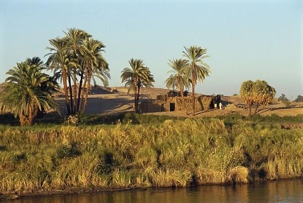Bank of the River Nile showing small farm building and palm trees at dusk