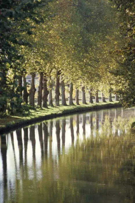 Framed Print : The banks of the Hure, Canal Lateral a la Garonne, Gironde, Aquitaine, France, Europe