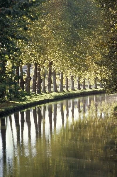 The banks of the Hure, Canal Lateral a la Garonne, Gironde, Aquitaine, France, Europe
