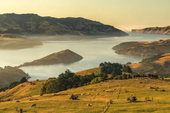 Framed Print : Banks Peninsula at sunrise, Canterbury, South Island, New Zealand, Pacific Framed Print : Banks Peninsula at sunrise, Canterbury, South Island, New Zealand, Pacific