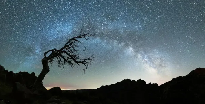 Framed Print : Bare tree under the Milky Way arch in the starry sky over Pico Ruivo mountain, Madeira Framed Print : Bare tree under the Milky Way arch in the starry sky over Pico Ruivo mountain, Madeira