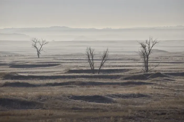 Framed Print : Three bare trees on a hazy morning, Badlands National Park, South Dakota, United States of America Framed Print : Three bare trees on a hazy morning, Badlands National Park, South Dakota, United States of America