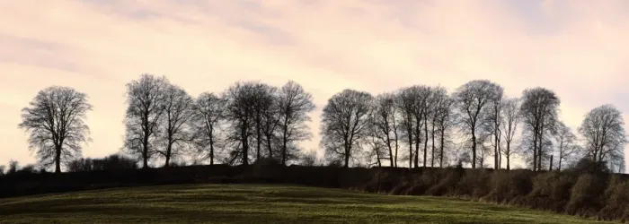 Framed Print : Bare trees on a ridge across a field at sunset, Bourton on the Hill, Gloucestershire Framed Print : Bare trees on a ridge across a field at sunset, Bourton on the Hill, Gloucestershire