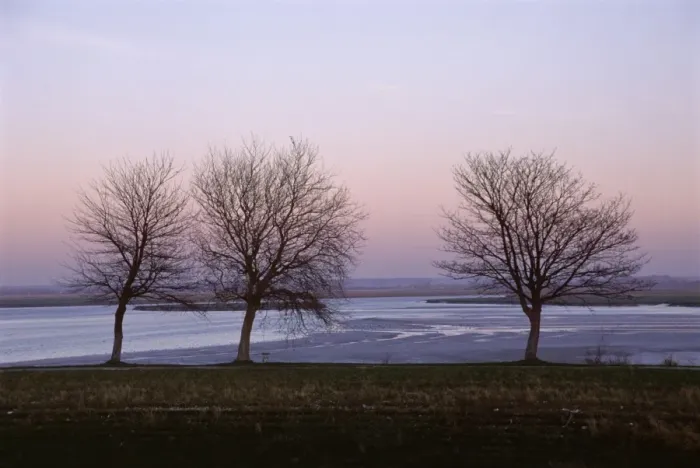 Framed Print : Bare trees in winter, St. Valery sur Somme, River Somme estuary, Picardie (Picardy) Framed Print : Bare trees in winter, St. Valery sur Somme, River Somme estuary, Picardie (Picardy)