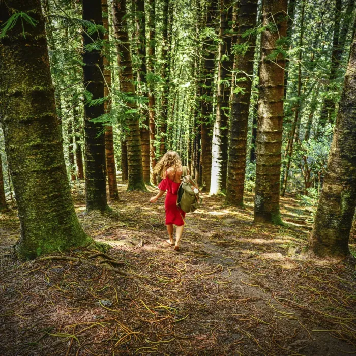 Framed Print : A barefoot woman in a red dress carries a travel pack over her shoulder through a tall Framed Print : A barefoot woman in a red dress carries a travel pack over her shoulder through a tall