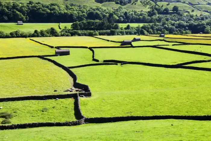 Framed Print : Barn and dry stone walls in meadows at Gunnerside, Swaledale, Yorkshire Dales, Yorkshire, England, United Kingdom, Europe Framed Print : Barn and dry stone walls in meadows at Gunnerside, Swaledale, Yorkshire Dales, Yorkshire, England, United Kingdom, Europe