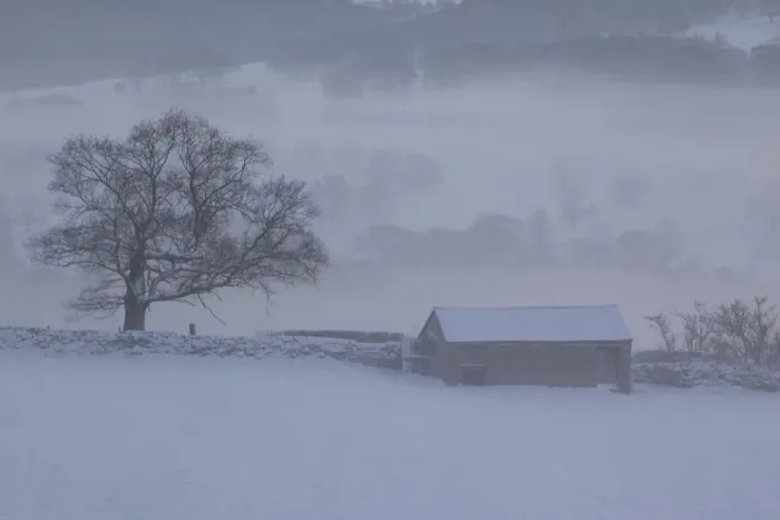 Framed Print : Barn in winter, Derbyshire Dales, Derbyshire, England, United Kingdom, Europe Framed Print : Barn in winter, Derbyshire Dales, Derbyshire, England, United Kingdom, Europe