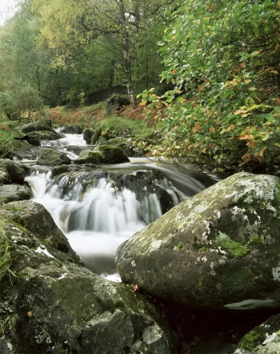Framed Print : Barrow Beck and autumnal foliage, near Ashness Bridge, Lake District, Cumbria Framed Print : Barrow Beck and autumnal foliage, near Ashness Bridge, Lake District, Cumbria