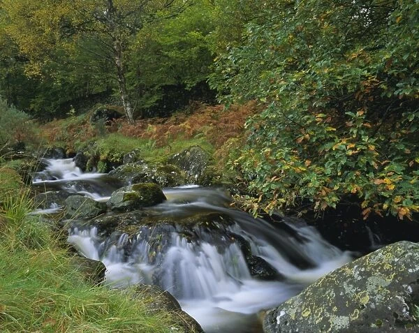 Barrow Beck and autumnal woodland near Ashness Bridge, Borrowdale, Lake District National Park