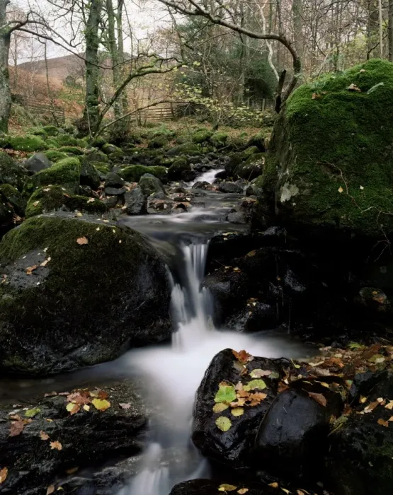 Framed Print : Barrow Beck, Borrowdale, Lake District, Cumbria, England, United Kingdom, Europe Framed Print : Barrow Beck, Borrowdale, Lake District, Cumbria, England, United Kingdom, Europe