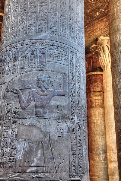 Bas Reliefs, Columns, Hypostyle Hall, Temple of Khnum, Esna, Egypt, North Africa, Africa