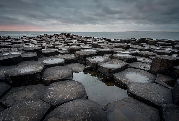 Basalt columns of the Giants Causeway at sunset, UNESCO World Heritage Site, County