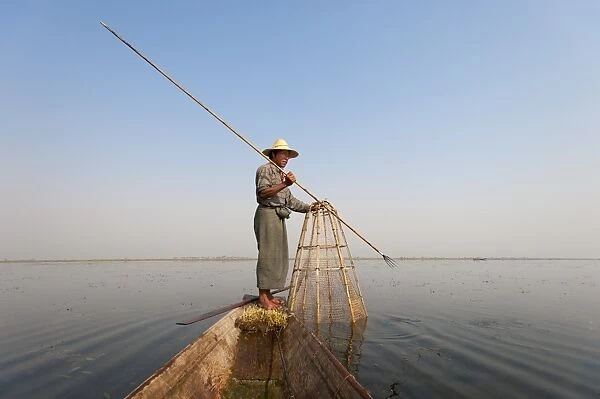 A basket fisherman after having trapped the fish in the basket will use the long