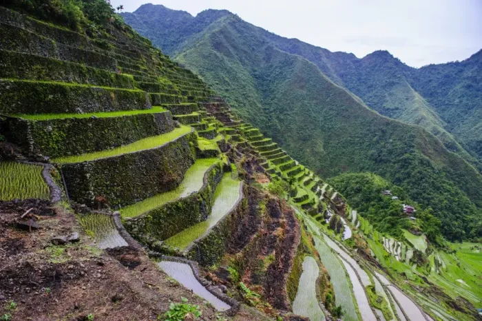 Framed Print : Batad rice terraces, part of the UNESCO World Heritage Site of Banaue, Luzon, Philippines, Southeast Asia, Asia Framed Print : Batad rice terraces, part of the UNESCO World Heritage Site of Banaue, Luzon, Philippines, Southeast Asia, Asia