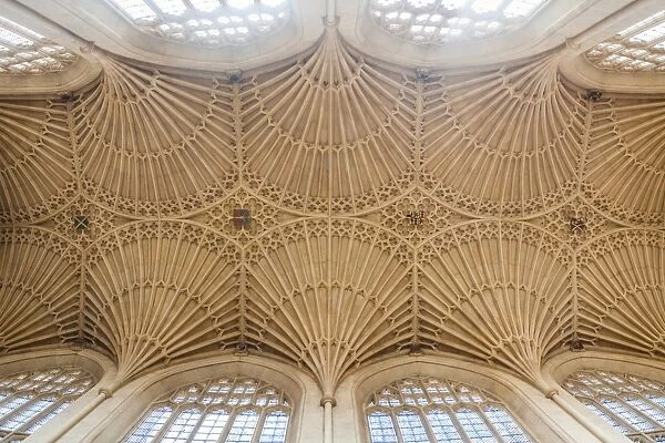 Bath Abbey ceiling, Bath, UNESCO World Heritage Site, Avon and Somerset, England, United Kingdom, Europe