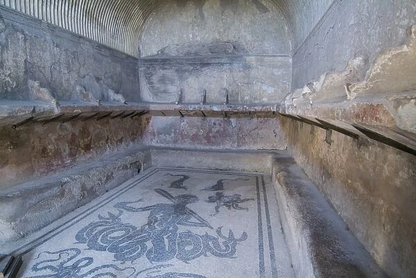 Bath house mosaic from Herculaneum