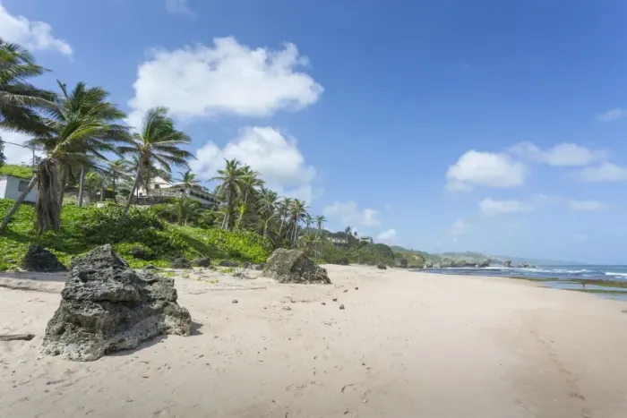 Framed Print : Bathsheba Beach, Bathsheba, St. Joseph, Barbados, West Indies, Caribbean, Central America Framed Print : Bathsheba Beach, Bathsheba, St. Joseph, Barbados, West Indies, Caribbean, Central America