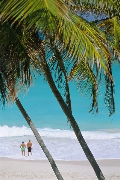 Bottom Bay Beach, East Coast, Barbados, Caribbean, West Indies