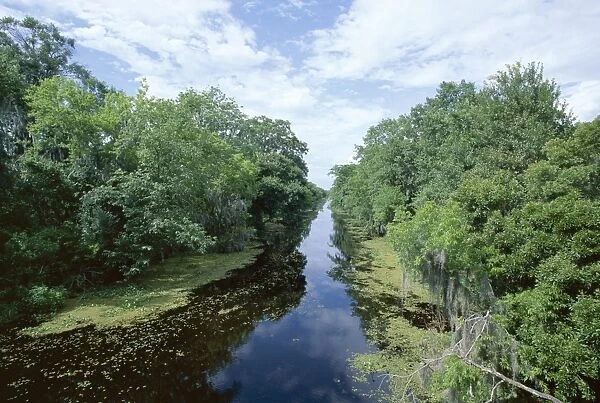 Bayou in swampland at Jean Lafitte National Historic