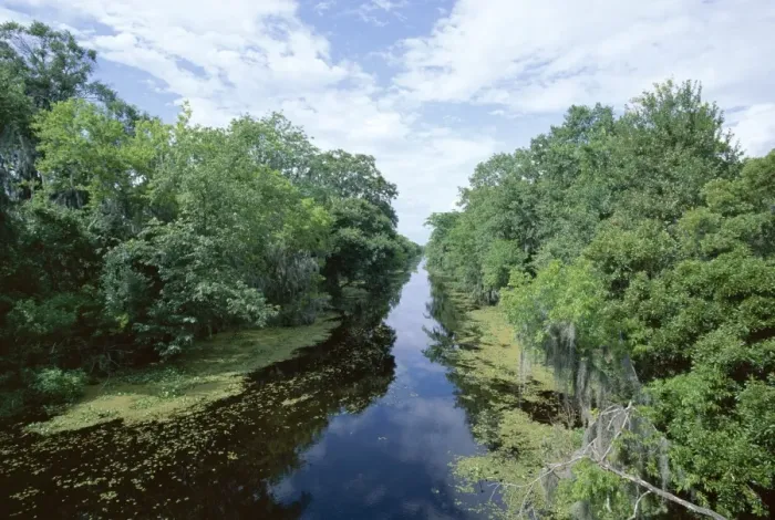 Framed Print : Bayou in swampland at Jean Lafitte National Historic Framed Print : Bayou in swampland at Jean Lafitte National Historic