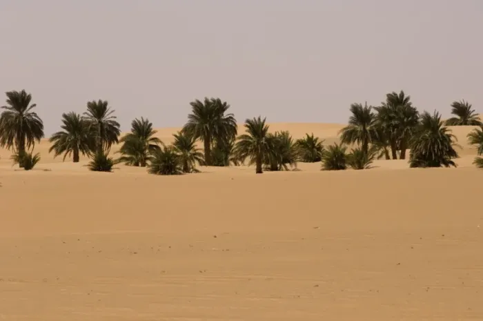 Framed Print : Bayuda Desert, Sudan, Africa Framed Print : Bayuda Desert, Sudan, Africa