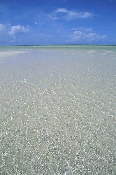 Beach, Andros, Bahamas, Central America