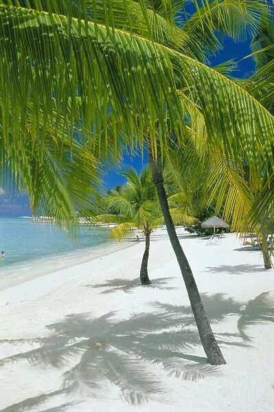 Beach, Bora Bora (Borabora)