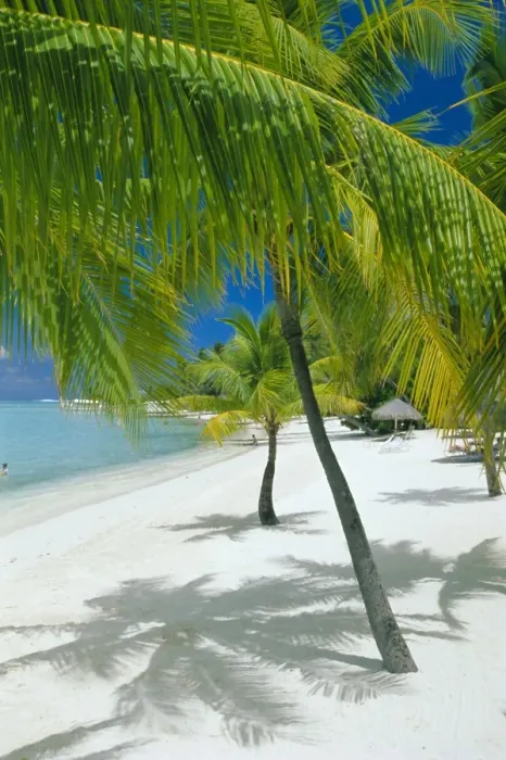Framed Print : Beach, Bora Bora (Borabora) Framed Print : Beach, Bora Bora (Borabora)