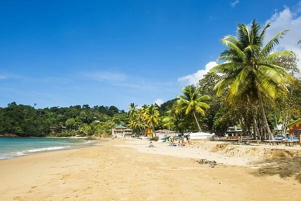 Beach of Castara, Tobago, Trinidad and Tobago, West Indies, Caribbean, Central America