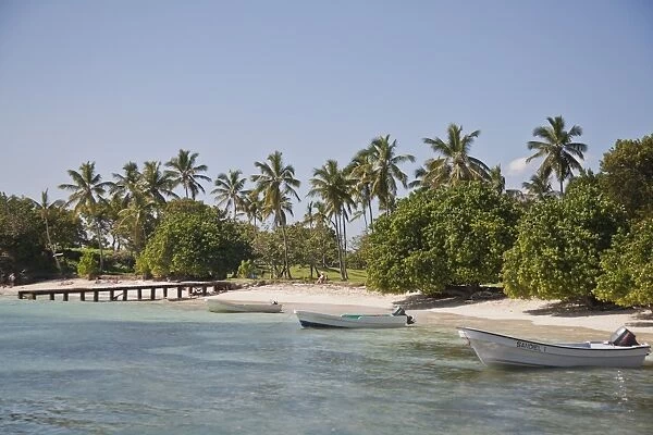 Beach, Cayo Levantado, Samana Bay, Dominican Republic, Greater Antilles, West Indies, Caribbean, Central America