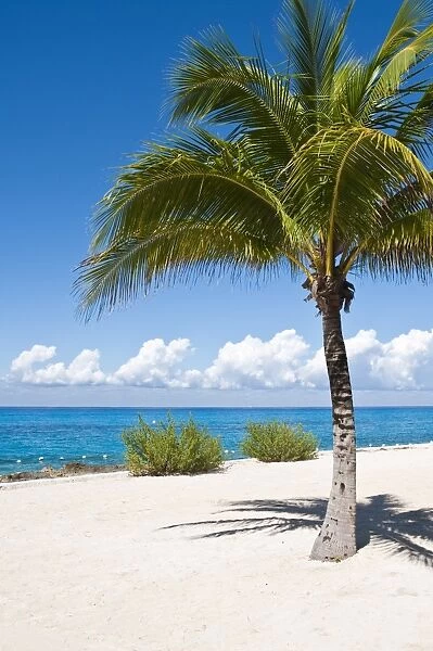 Beach at Chankanaab Park, Isla de Cozumel (Cozumel Island), Cozumel, off the Yucatan