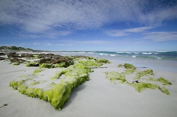 Beach at the coast, Kangaroo Island, South Australia, Australia