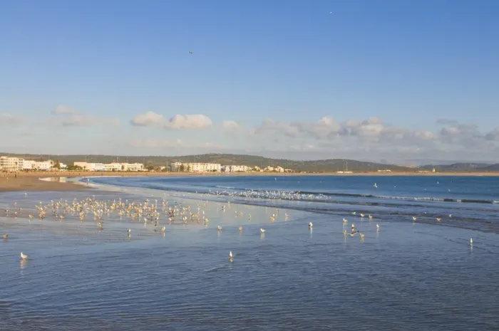 Framed Print : The beach of the coastal city of Essaouira, Morocco, North Africa, Africa