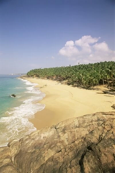Beach and coconut palms