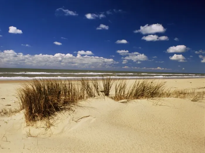 Framed Print : Beach, Cote d Argent, Gironde, Aquitaine, France, Europe Framed Print : Beach, Cote d Argent, Gironde, Aquitaine, France, Europe