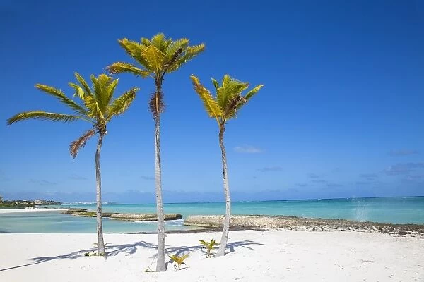 Beach at Also del Mar resort, Punta Cana, Dominican Republic, West Indies, Caribbean