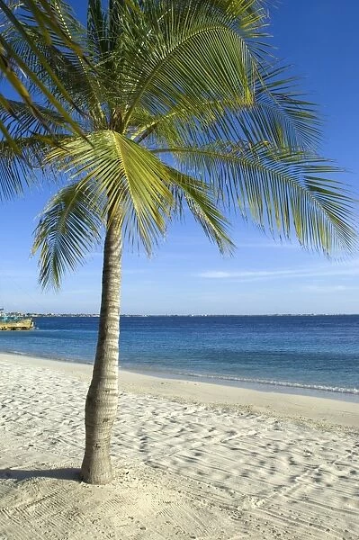 Beach at Harbour Village Resort, Bonaire, Netherlands Antilles, Caribbean