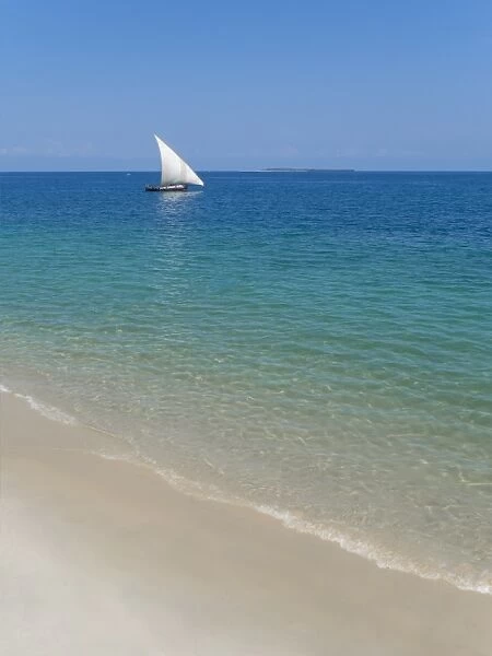 Beach and Indian Ocean dhow, Zanzibar, Tanzania, East Africa, Africa