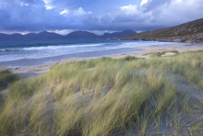 Framed Print : Beach at Luskentyre with dune grasses blowing in the foreground and the hills of North Harris in the distance, Isle of Harris, Outer Hebrides, Scotland Framed Print : Beach at Luskentyre with dune grasses blowing in the foreground and the hills of North Harris in the distance, Isle of Harris, Outer Hebrides, Scotland