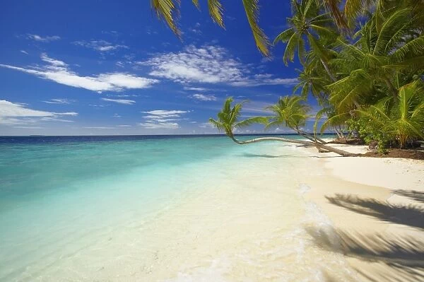 Empty beach, Maldives, Indian Ocean, Asia