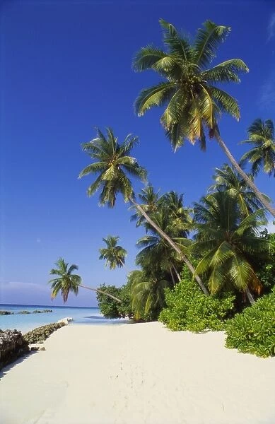 Beach at Nakatchafushi, North Male Atoll, Maldives