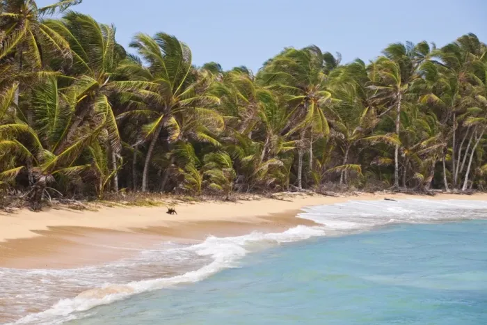 Framed Print : Beach near Garret Point, Little Corn Island, Corn Islands, Nicaragua, Central America Framed Print : Beach near Garret Point, Little Corn Island, Corn Islands, Nicaragua, Central America