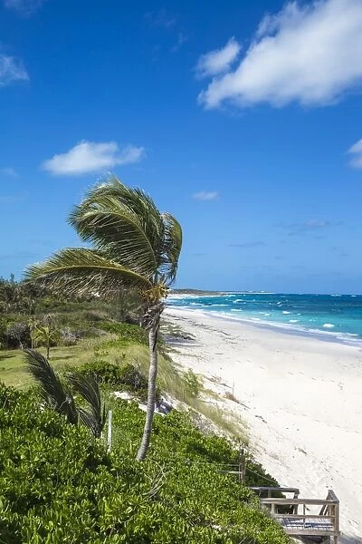 Beach near Nippers Bar, Great Guana Cay, Abaco Islands, Bahamas, West Indies, Central