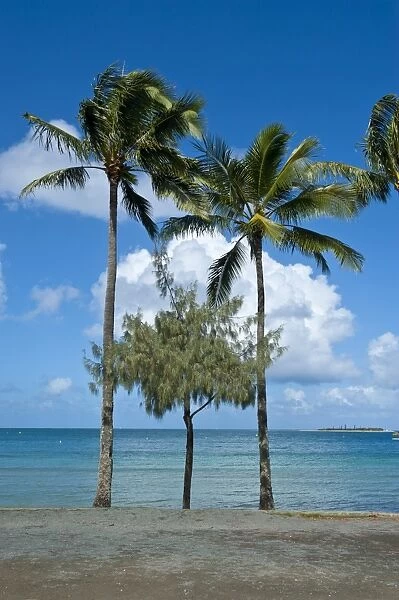 Beach in Noumea, New Caledonia, Melanesia, South Pacific, Pacific